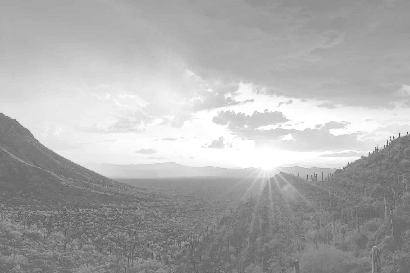 tucsonjobsnow-background